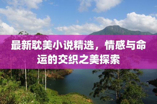 最新耽美小说精选，情感与命运的交织之美探索