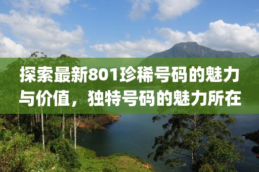 探索最新801珍稀号码的魅力与价值，独特号码的魅力所在