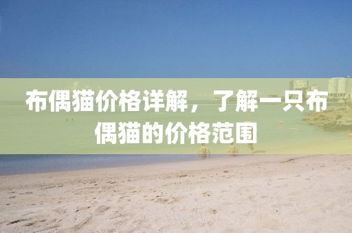 布偶猫价格详解，了解一只布偶猫的价格范围