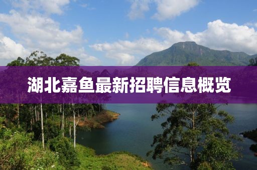 湖北嘉鱼最新招聘信息概览