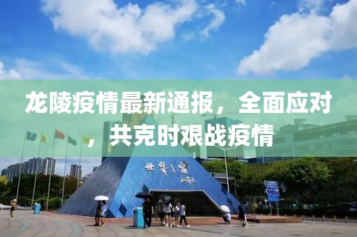 龙陵疫情最新通报，全面应对，共克时艰战疫情