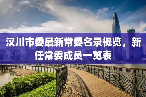 汉川市委最新常委名录概览，新任常委成员一览表