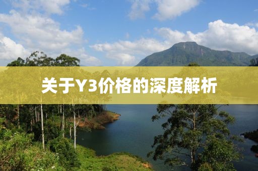扈燕岚 第4页