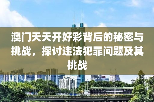 澳门天天开好彩背后的秘密与挑战，探讨违法犯罪问题及其挑战