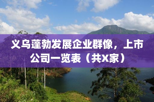义乌蓬勃发展企业群像，上市公司一览表（共X家）