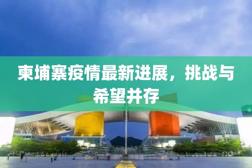柬埔寨疫情最新进展，挑战与希望并存