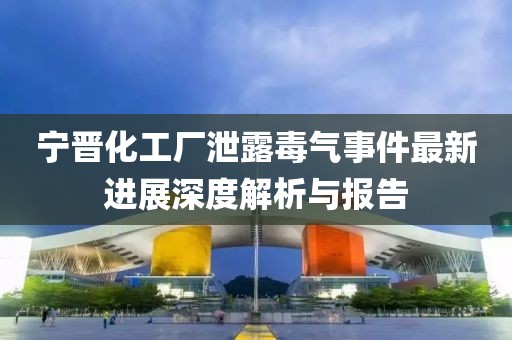 宁晋化工厂泄露毒气事件最新进展深度解析与报告