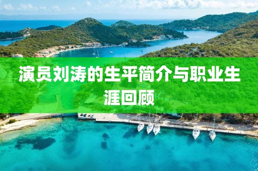 演员刘涛的生平简介与职业生涯回顾