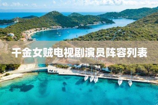 千金女贼电视剧演员阵容列表