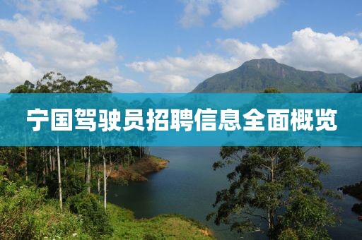 宁国驾驶员招聘信息全面概览