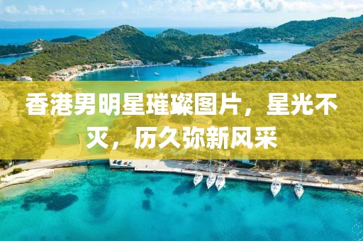 香港男明星璀璨图片，星光不灭，历久弥新风采