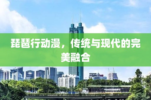 琵琶行动漫，传统与现代的完美融合