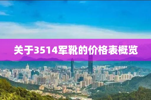 关于3514军靴的价格表概览