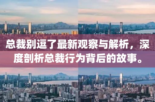 总裁别逗了最新观察与解析，深度剖析总裁行为背后的故事。