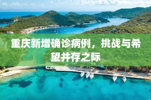 重庆新增确诊病例，挑战与希望并存之际