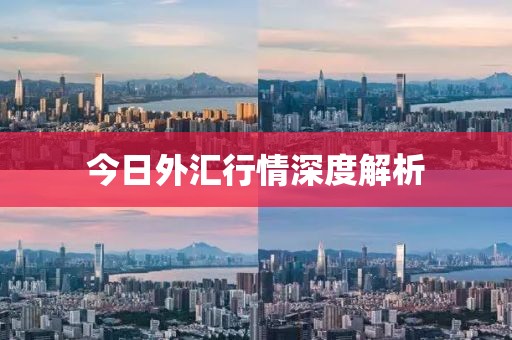 今日外汇行情深度解析