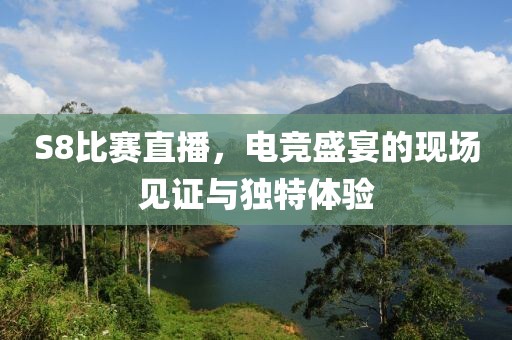 S8比赛直播，电竞盛宴的现场见证与独特体验