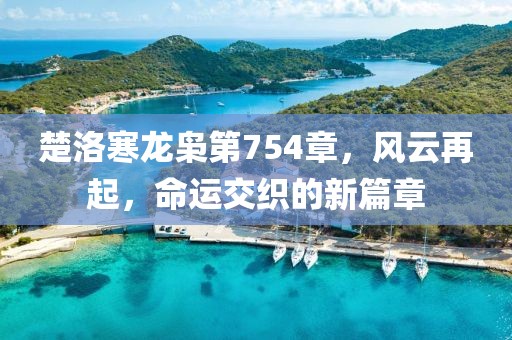 楚洛寒龙枭第754章，风云再起，命运交织的新篇章