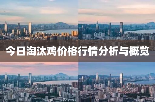 今日淘汰鸡价格行情分析与概览