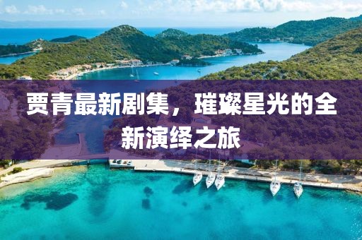 贾青最新剧集，璀璨星光的全新演绎之旅