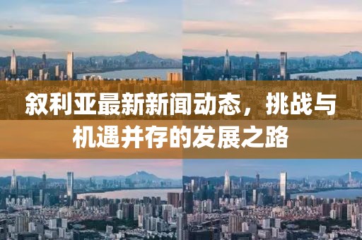 叙利亚最新新闻动态，挑战与机遇并存的发展之路