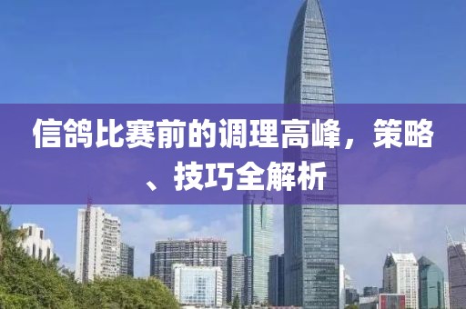 信鸽比赛前的调理高峰，策略、技巧全解析