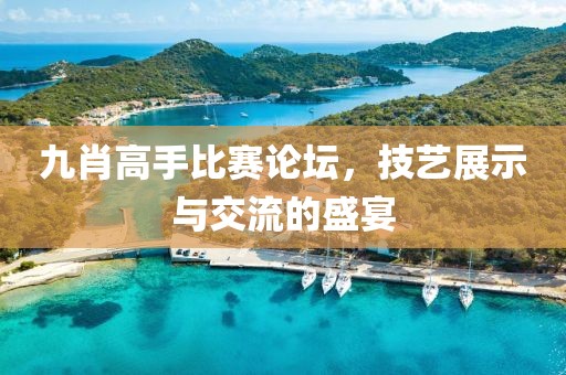 九肖高手比赛论坛，技艺展示与交流的盛宴