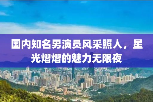 国内知名男演员风采照人，星光熠熠的魅力无限夜