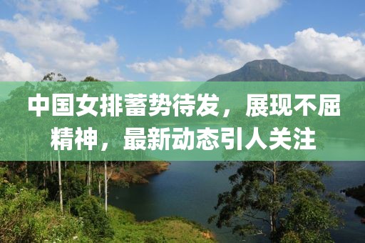 中国女排蓄势待发，展现不屈精神，最新动态引人关注