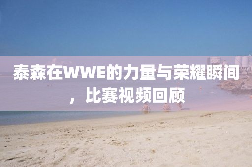 泰森在WWE的力量与荣耀瞬间，比赛视频回顾