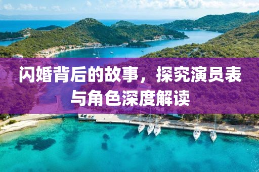 闪婚背后的故事，探究演员表与角色深度解读