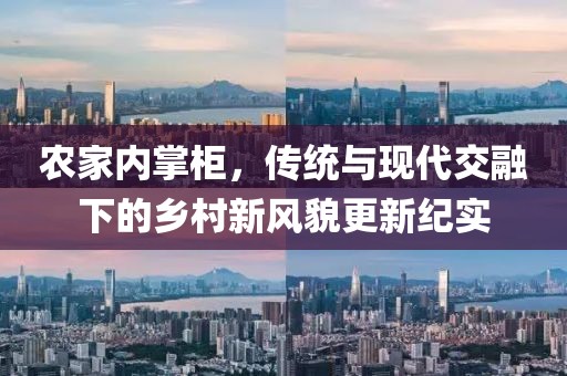 农家内掌柜，传统与现代交融下的乡村新风貌更新纪实