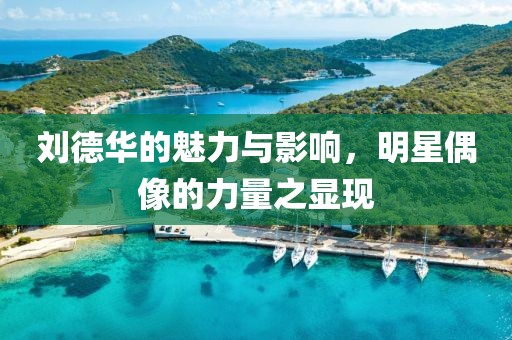 刘德华的魅力与影响，明星偶像的力量之显现