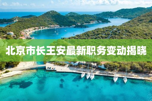北京市长王安最新职务变动揭晓