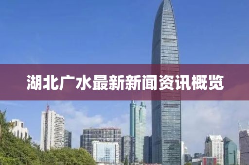 湖北广水最新新闻资讯概览