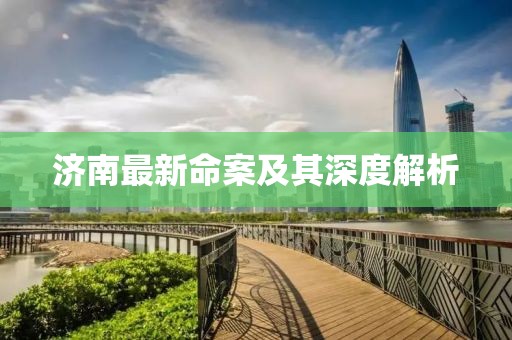 济南最新命案及其深度解析