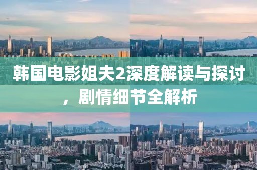 韩国电影姐夫2深度解读与探讨，剧情细节全解析