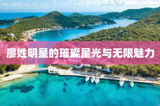 廖姓明星的璀璨星光与无限魅力