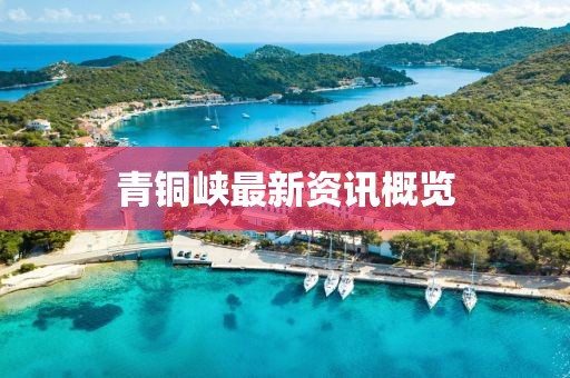 青铜峡最新资讯概览