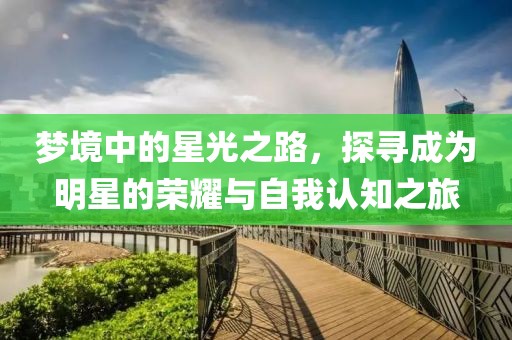 梦境中的星光之路，探寻成为明星的荣耀与自我认知之旅