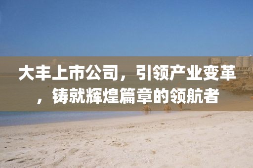 大丰上市公司，引领产业变革，铸就辉煌篇章的领航者