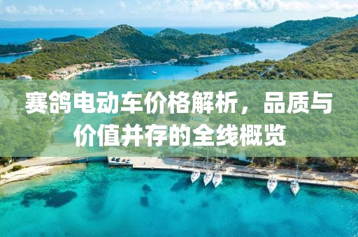 赛鸽电动车价格解析，品质与价值并存的全线概览