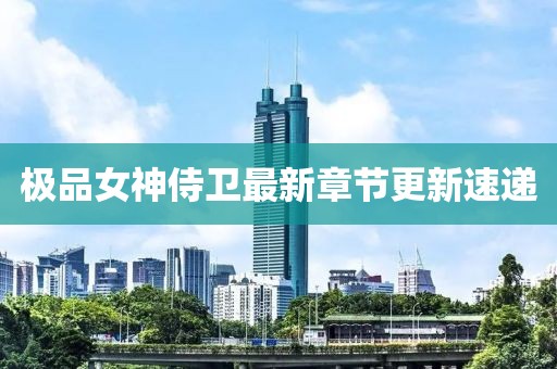 极品女神侍卫最新章节更新速递