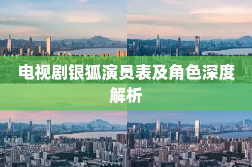电视剧银狐演员表及角色深度解析