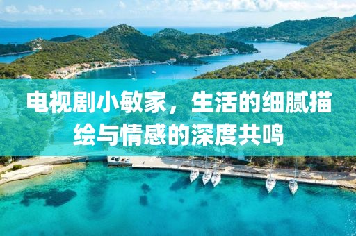 电视剧小敏家，生活的细腻描绘与情感的深度共鸣
