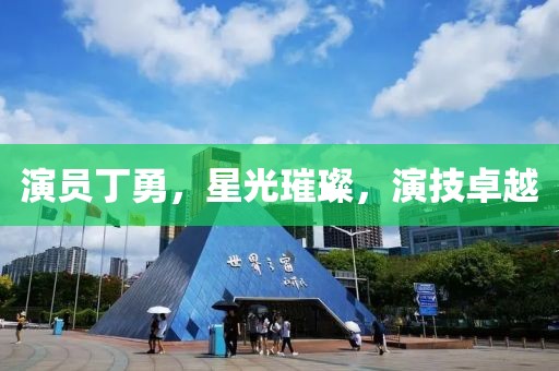 演员丁勇，星光璀璨，演技卓越