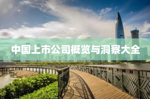 中国上市公司概览与洞察大全