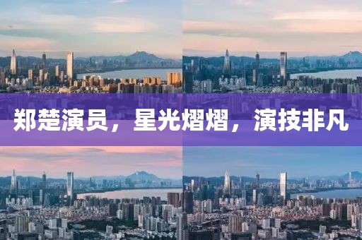 郑楚演员，星光熠熠，演技非凡