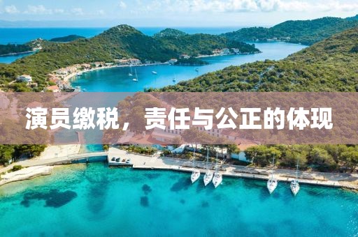 演员缴税，责任与公正的体现