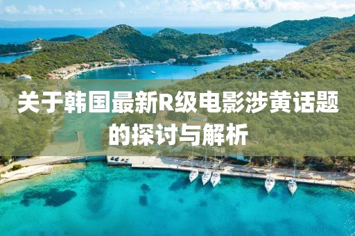 关于韩国最新R级电影涉黄话题的探讨与解析